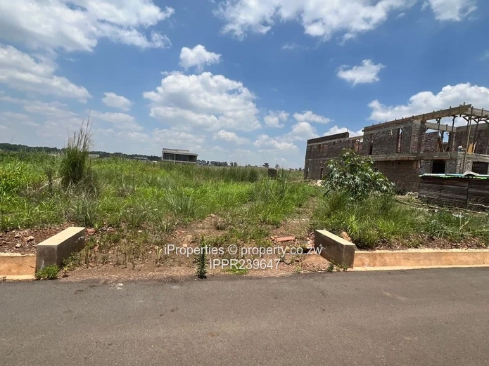 Discover a City Within a City