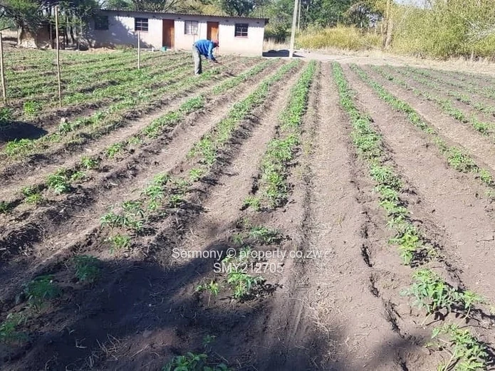 Ruwa Mandalay Plot To Let