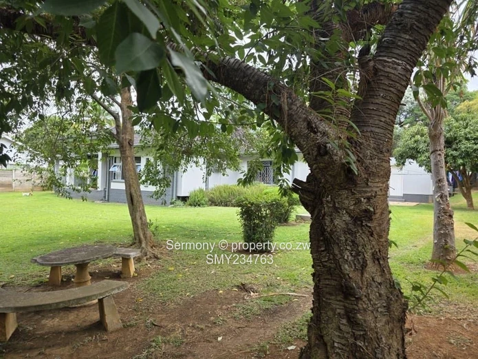 Residential house for rent