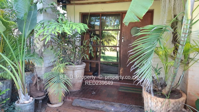 Space, Location, and Opportunity Combined In Kumalo!