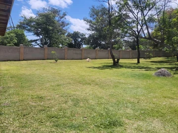 Shop & Retail Property