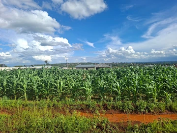 Stands & Residential Land