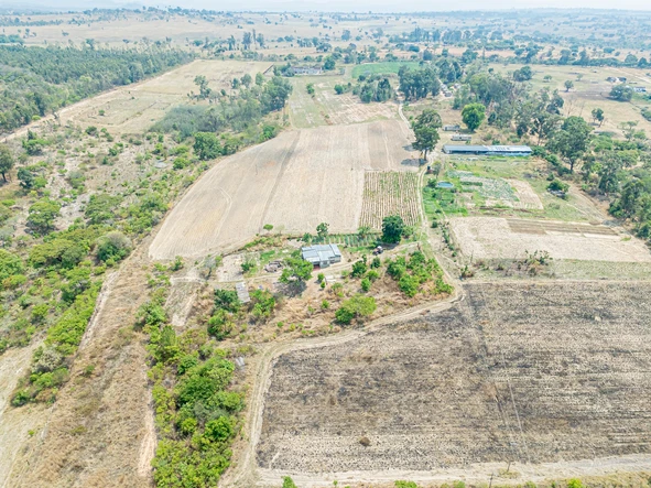 Farm & Agricultural Land