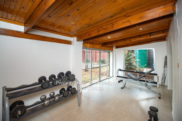 The Ultimate All-in-One Experience