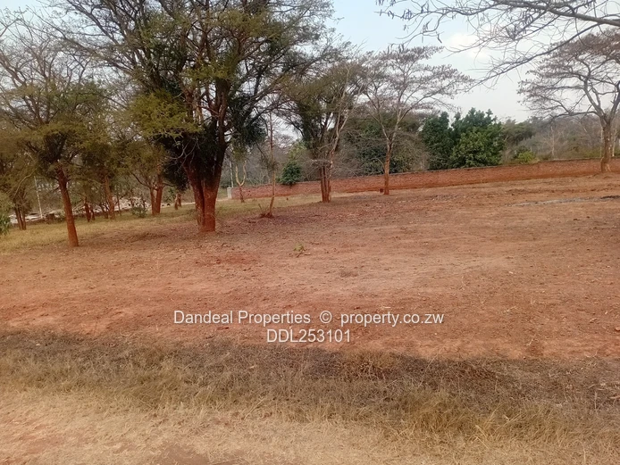 2000m² Carrick Creagh Stand — Main Road Frontage, Tarred Access
