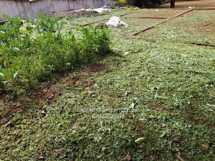 Philadelphia subdivision stand sitting on  2000sqm all paperwork available 