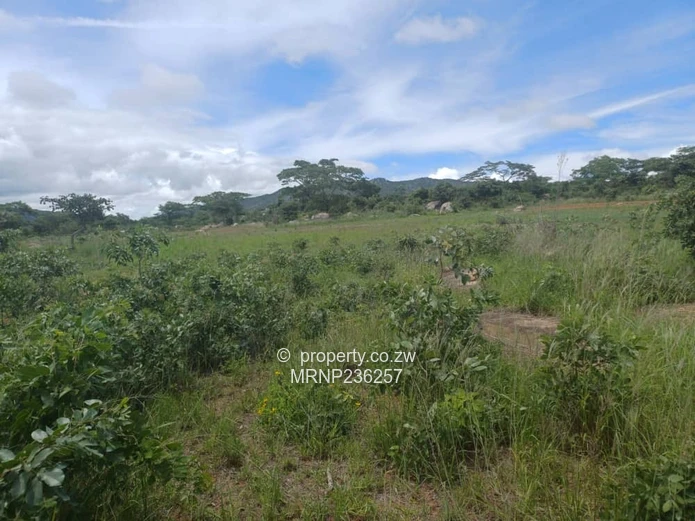Headlands EagleNest Plot for sale (Sole Mandate)