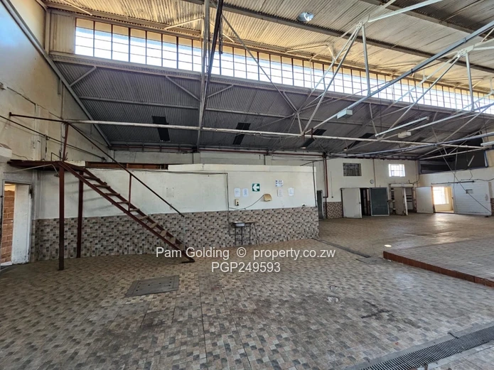 The Ultimate Production & Distribution Hub (Sole Mandate)