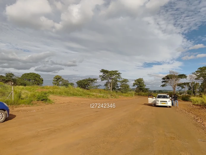 Prime Residential Stands for Sale!