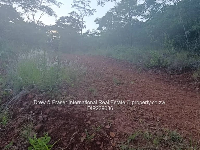 Glen Lorne 3,122m² Elevated Stand - Views & Tarred Road