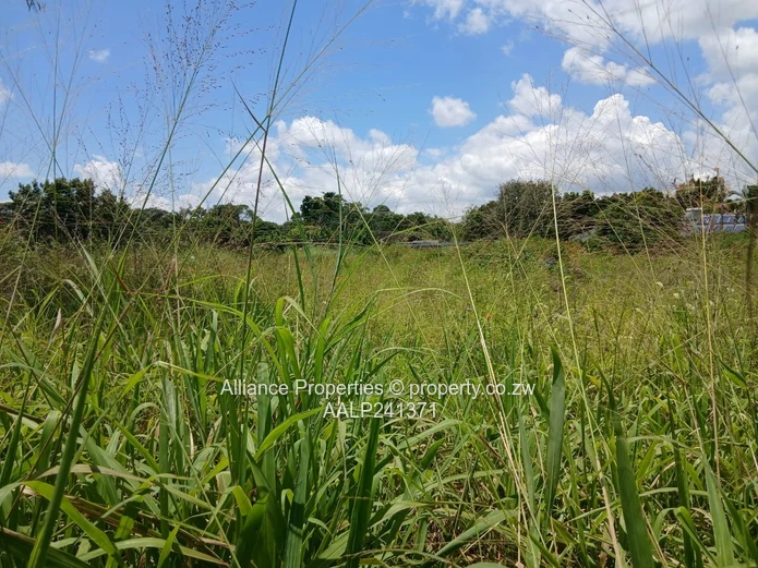 For Sale – Mt Pleasant Residential Stand | US$170,000