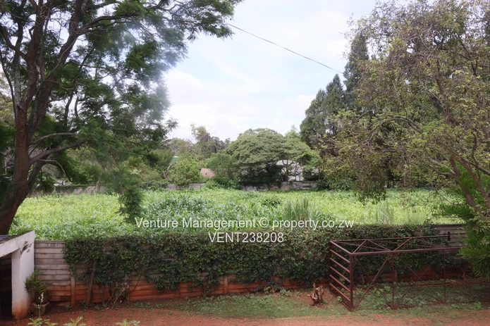 A Rare Dual-Title Gem In Prime Rhodesville