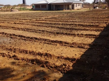 Farm & Agricultural Land