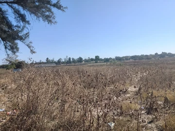 Commercial & Industrial Land