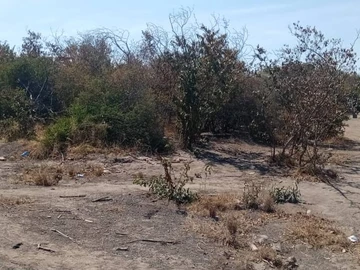 Commercial & Industrial Land