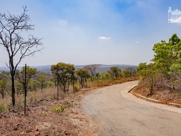 Farm & Agricultural Land