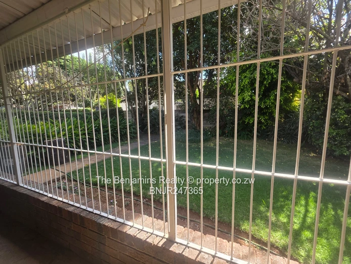 Secure Garden Flat In Avondale