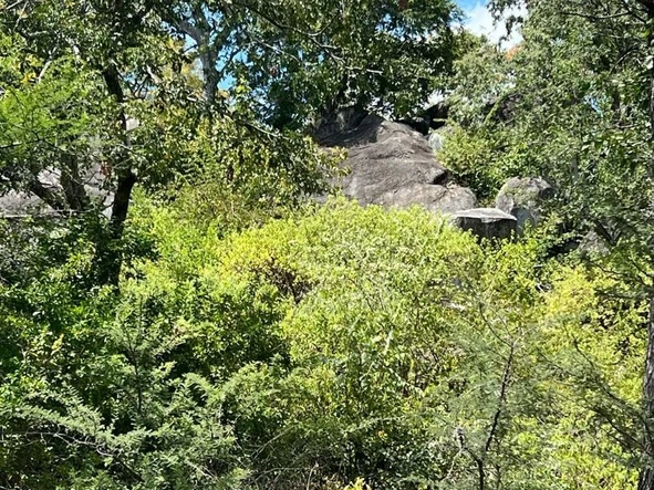 Farm & Agricultural Land