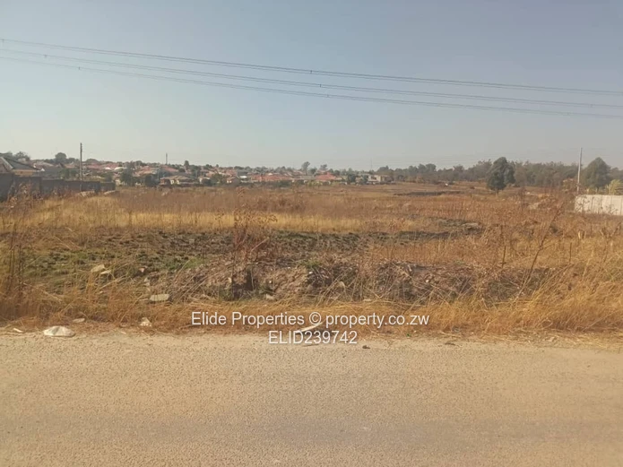 Zimre Park Stand (Sole Mandate)