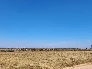 Farm & Agricultural Land