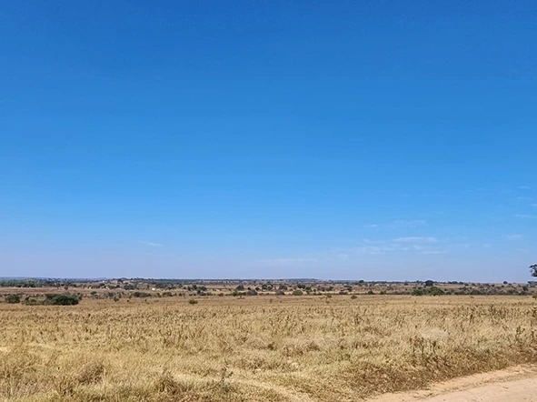 Farm & Agricultural Land