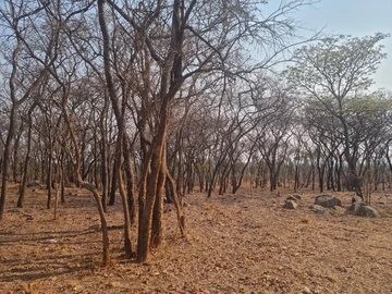 Farm & Agricultural Land