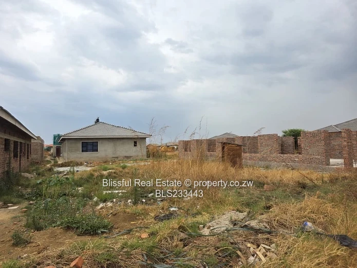 glaudina stand for sale