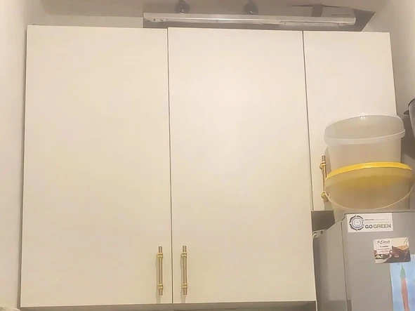 Flat & Apartment