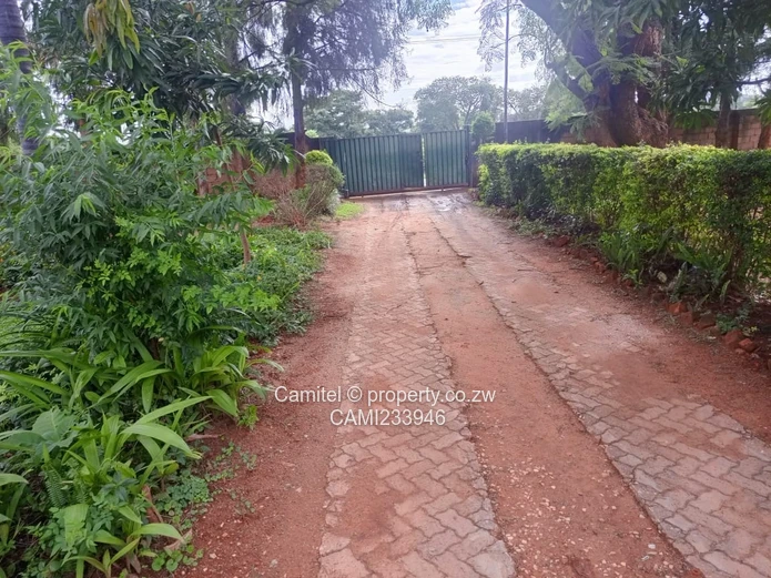 Recently renovated neat house