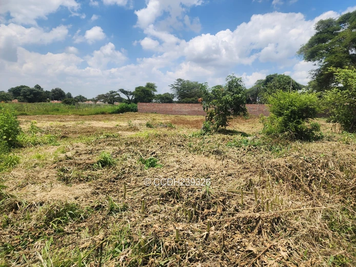 Bluffhill Infill Stands For Sale (Sole Mandate)