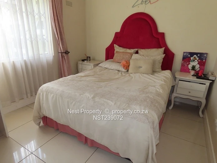 Location - 6 Bedroom House in Alexandra Park!