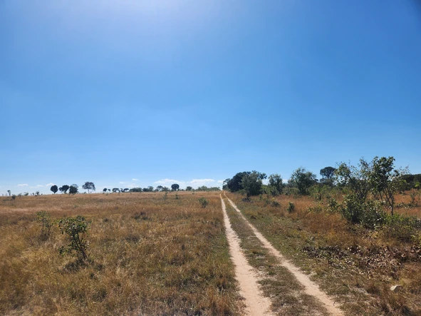 Farm & Agricultural Land