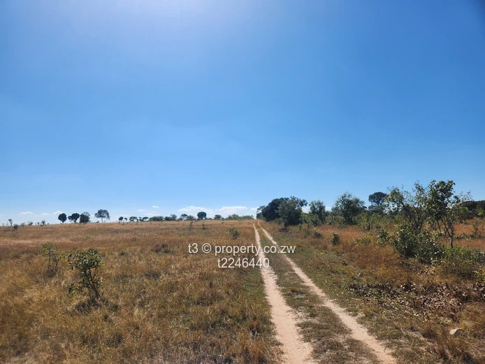  Darwendale Farm - 400 hectares 