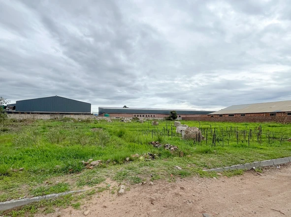 Commercial & Industrial Land