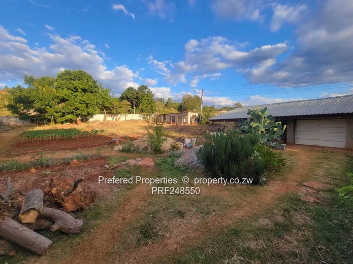 2100 sqm Stand with Garage & Mature Trees — Quinnington