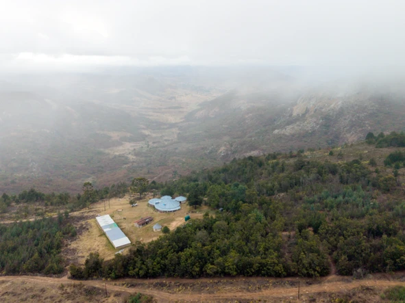 Farm & Agricultural Land
