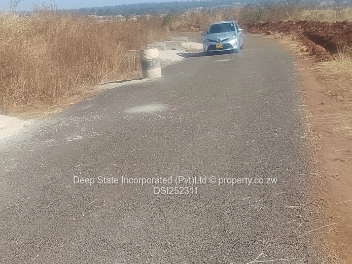 Nyeredzi stand for sale 