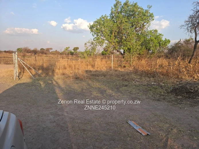 Norton plot for sale