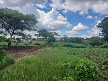 Commercial & Industrial Land