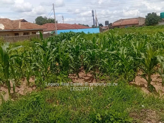 Damafalls Phase 1 Stand – Ready for Title