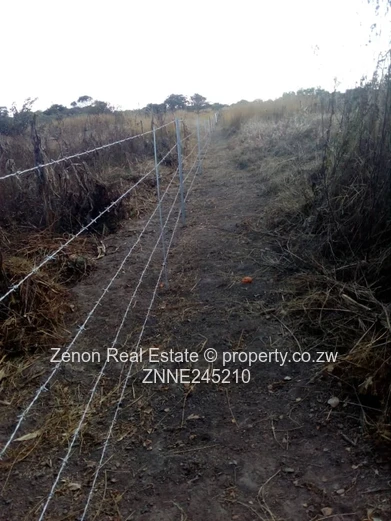 Norton plot for sale