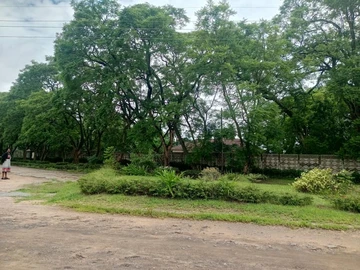 Commercial Property
