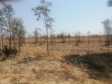 Farm & Agricultural Land