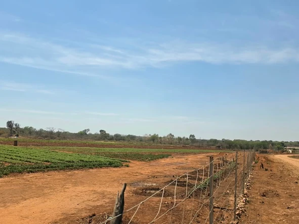Farm & Agricultural Land