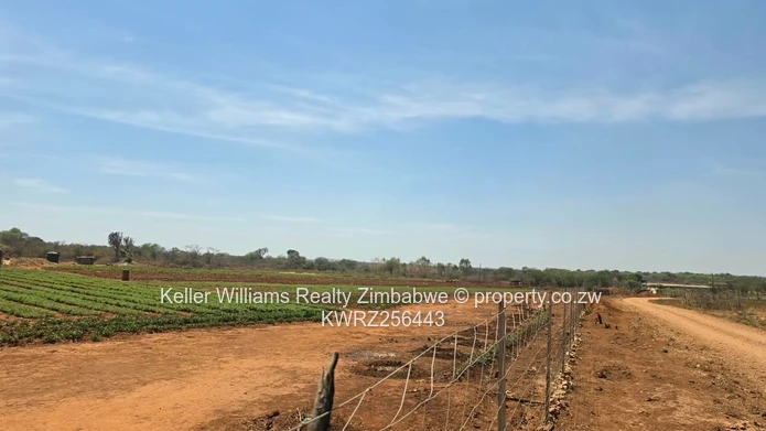 AGRO-RESIDENTIAL PLOTS | CLOVERFIELD ESTATE, GWERU From US$4 per m²
