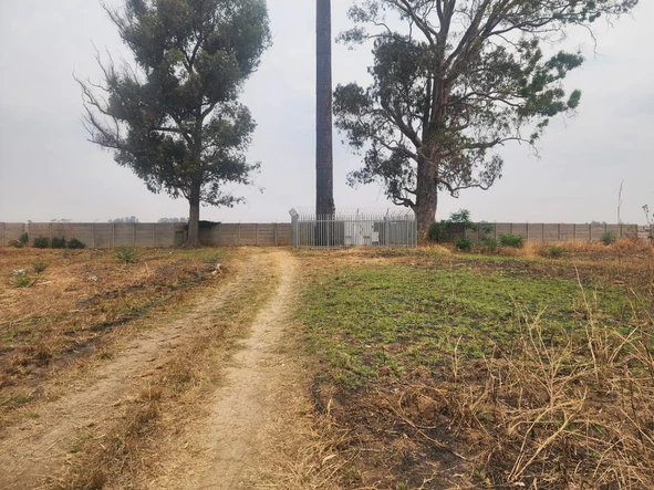 Stands & Residential Land