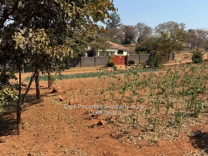 Tynwald Stand Perfect for Home or Investment