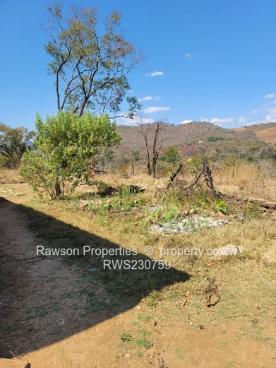 Solid Investment Opportunity Alert! (Sole Mandate)