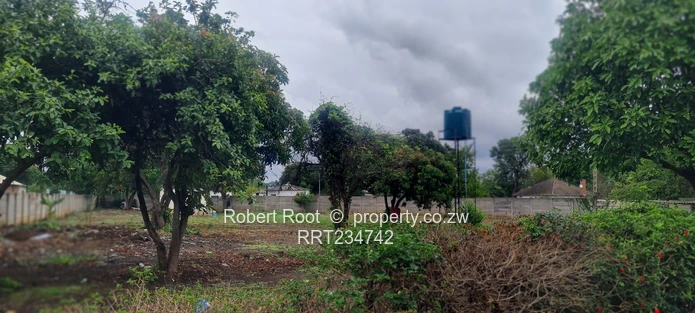 Solid family home. Unlimited potential 