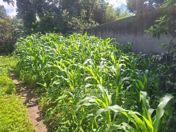 Agro - Residential Plots For Sale